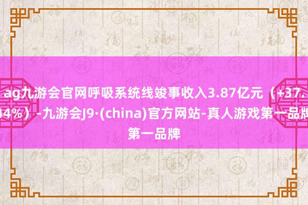 ag九游会官网呼吸系统线竣事收入3.87亿元（+37.44%）-九游会J9·(china)官方网站-真人游戏第一品牌