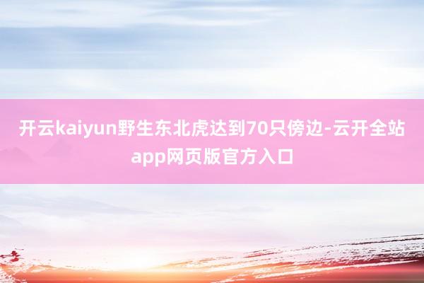开云kaiyun野生东北虎达到70只傍边-云开全站app网页版官方入口