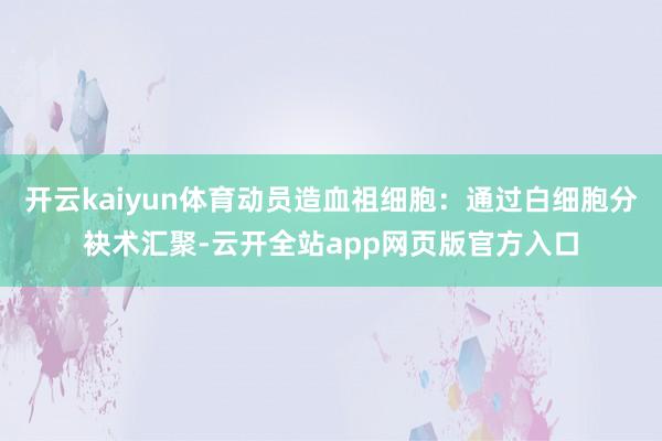 开云kaiyun体育动员造血祖细胞:通过白细胞分袂术汇聚-云开全站app网页版官方入口